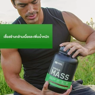 Optimum Nutrition Serious Mass Protein 6 Lbs