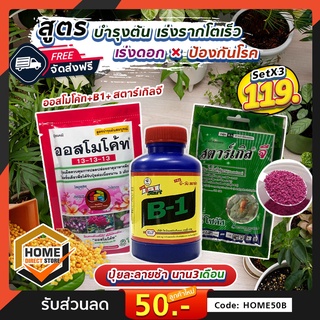 ชุดสุดคุ้ม X3 ปุ๋ยออสโมโค้ด + วิตามิน B-1 น้ำยาเร่งการแตกราก + สตาร์เกิล จี สารป้องกันโรคและแมลง ขนาด 100 กรัม จัดส่งฟรี