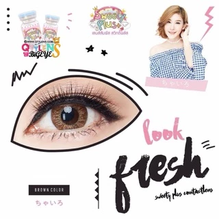 🔥คอนแทคเลนส์✨ขนาดมินิ✨Brown / Gray✨ Mari ✨Gaezz Secret