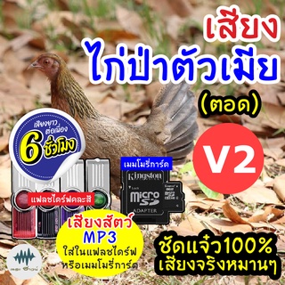 (MP3 เสียงต่อสัตว์) เสียงไก่ป่าเมียV.2 [6ชั่วโมง] ใส่แฟลชไดร์ฟ/เมมโมรี่ มีเก็บเงินปลายทาง เสียงดี ชัด100% ไม่มีโฆษณาแทรก