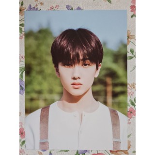 [แท้/แบ่งขาย] หน้​าโฟโต้บุ๊ค​ NCT Dream Dream a Dream Photo Book จีซอง Jisung