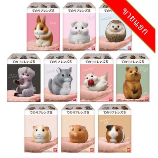 แยก Bandai Tenori Friends 5 โมเดลสัตว์ หนู เม่น Animal Model Figure ลิขสิทธิ์แท้ โมเดล Hedgehog Rabbit Hamster