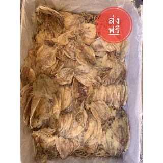 หมึกผ่า A5  ขนาด 500 กรัม ( หมึกแห้งผ่าหนา )
