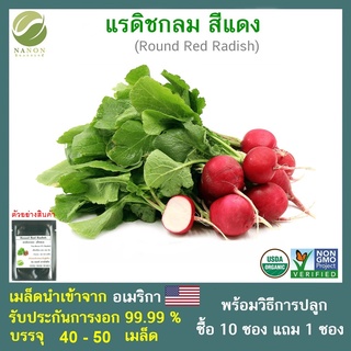 เมล็ดแรดิชกลม สีแดง (Round Red Radish) 45-50 เมล็ด