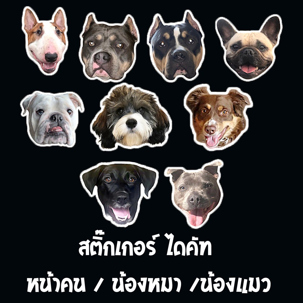รับพิมพ์สติ๊กเกอร์ ออกแบบตามสั่ง ติดรถ กันน้ำ สติ๊กเกอร์ ไดคัท หน้าคน น้องหมา แมว จุ๊บติดกระจก แผ่นแม่เหล็ก