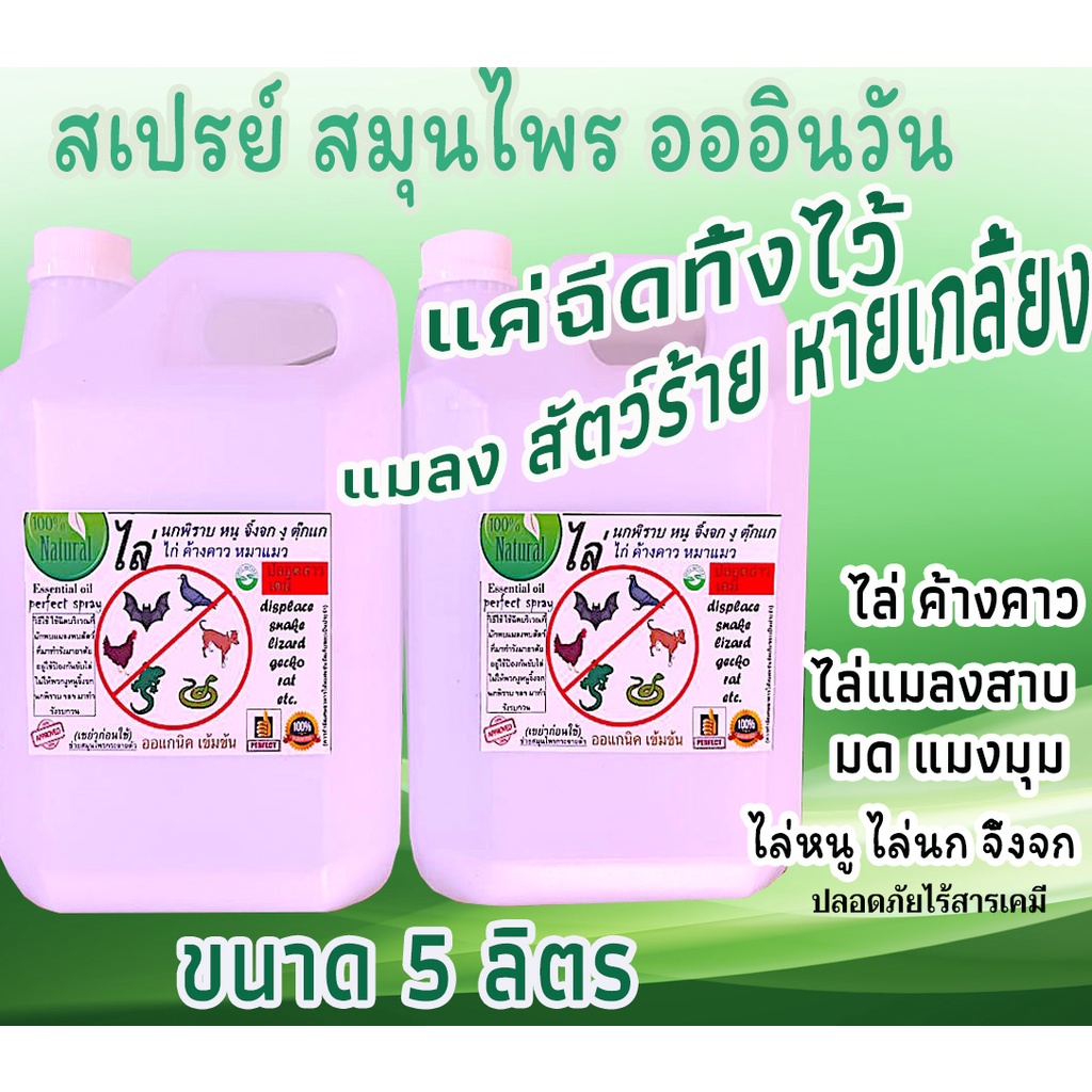 ไล่หนู ไล่นก ไล่จิ้งจก ไล่งู ไล่ค้างคาว (MG-5) ไล่มด แมลงสาบ แมงมุม ฯลฯ ราคาส่ง5ลิตร