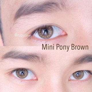 0.00/-4.75mini pony brown