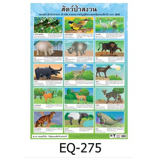 สัตว์ป่าสงวน EQ-275 สื่อโปสเตอร์ภาพ กระดาษ หุ้มพลาสติก