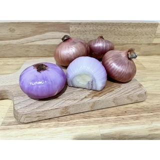 หอมแขกใหญ่ 🧅 500 กรัม และ 1 กิโลกรัม แห้ง สด คัดคุณภาพให้ แข็งทุกลูก Onion