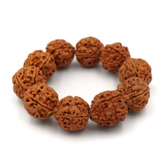 กำไล น้ำตาพระศิวะ เมล็ดรุทรักษะ เกรดพรีเมี่ยม ไซส์ใหญ่ by siamonlineshop