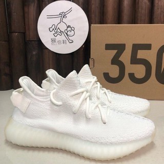 adidas yeezy pure white