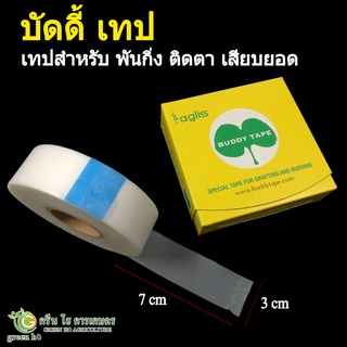 BUDDY TAPE บัดดี้เทป เทปสำหรับติดตา ต่อกิ่ง เสียบยอด (ยกม้วน)