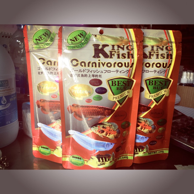King fish ปลามังกร ปลาออสก้า