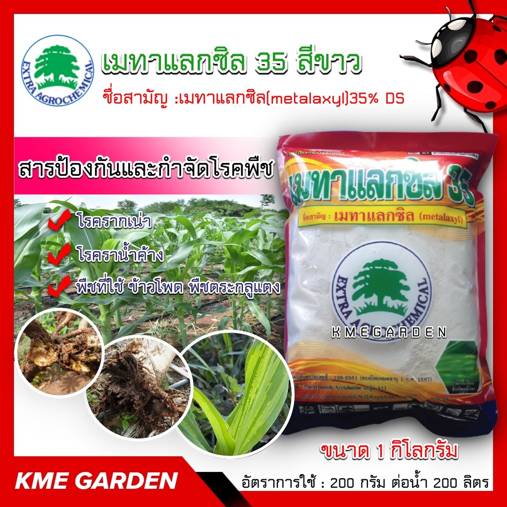 (Live) 🦠โรคพืช🦠 เมทาแลกซิล 35 สีขาว ขนาด 1กิโลกรัม ออกฤทธิ์ให้ผลทางด้านป้องกันและรักษาโรคพืช ราน้ำค้าง รากเน่า โคนเน่า