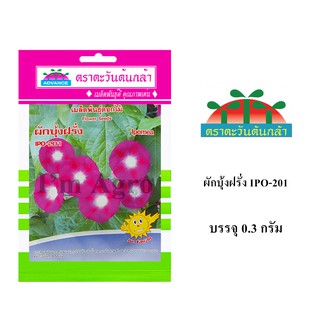 เมล็ดพันธ์ุ ผักบุ้งฝรั่ง IPO-201 บรรจุ 0.3 กรัม/ซอง ตราตะวันต้นกล้า