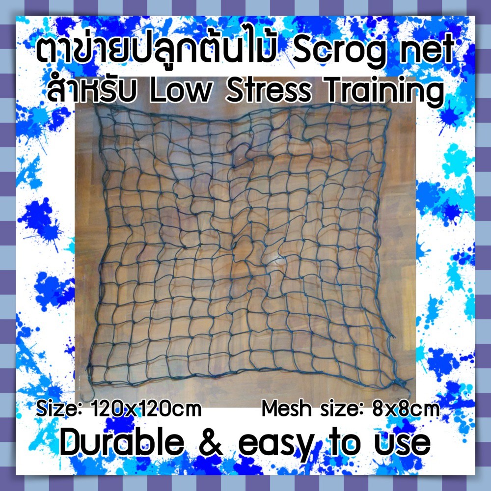 Scrog Net - Plant Stress Training - 8x8cm mesh size, in size of 70x70,  100x100, 120x120, 60x120, 150x150cm Trellis Net | Shopee Thailand