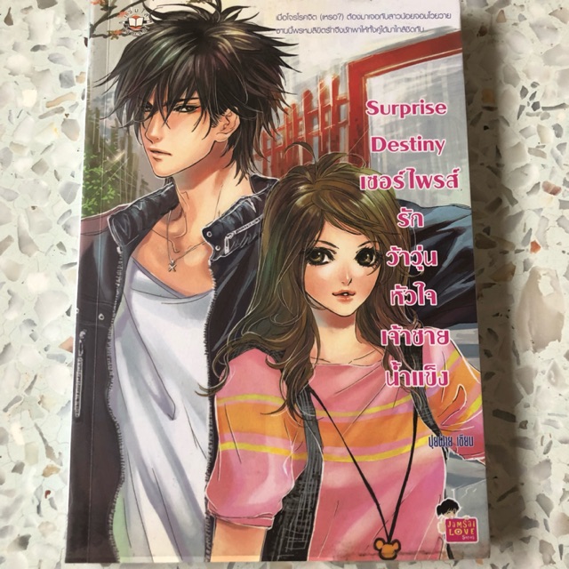 นิยายแจ่มใสมือสอง Surprise Destiny รักว้าวุ่นหัวใจเจ้าชายน้ำแข็ง