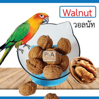 (พร้อมส่ง) WALNUT วอลนัท 4 ชิ้น / สำหรับสัตว์ฟันแทะทุกชนิด หนู นกแก้ว อาหารนก / ชุดละ4เม็ด