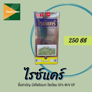 ไรซ์แคร์ (บีสไพริแบก-โซเดียม) ชนิดน้ำ💧250ซีซี เก็บหญ้าทั้งใบแคบ ใบกว้าง และกก ข้าวไม่อาน ไม่ชะงักงัน ตราหัววัว-คันไถ