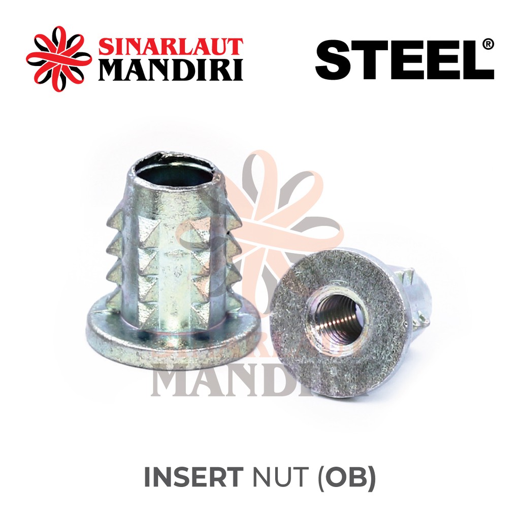 น็อตสับปะรด / น็อตใส่ OB M 6 x 15