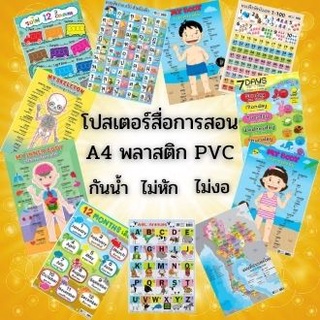 โปสเตอร์เสริมความรู้ A4 ทำจากพลาสติก pvc กันน้ำ กันเลอะ ไม่งอ มีถึง 15 แบบ