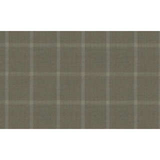 Timeless Appeal Fine &amp; Dandy/59500 Col.2 Luiciano Brand Jacketing Fabrics Windowpane Pattern 595026