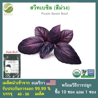 เมล็ดสวีทเบซิล สีม่วง  จำนวน 40-50 เมล็ด