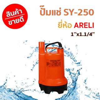 ปั๊มแช่ 1”PVC SY-100 ARELI