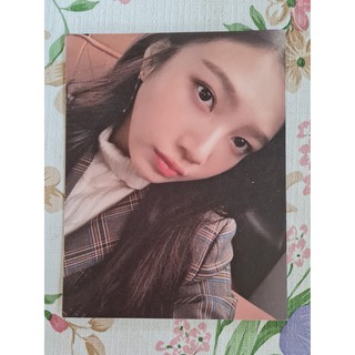 [แท้/แบ่งขาย/4 หน้า 100] หน้าโฟโต้บุ๊ค จอย Joy Red Velvet Selfie Book Photo Book