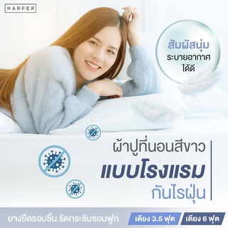 ผ้าปูที่นอน ส่งฟรี ผ้าปูที่นอนโรงแรมสีขาวล้วน ผ้าปูที่นอนโรงแรมเตียงเดี่ยว เตียงคู่ ผ้าปูที่นอนยางยืด