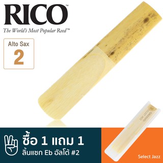 Rico™ Select Jazz (RSF10ASX2H) ลิ้นแซกโซโฟน อัลโต้ เบอร์ 2 (Eb Alto Sax Reed #2) ** ซื้อ 1 แถม 1 **