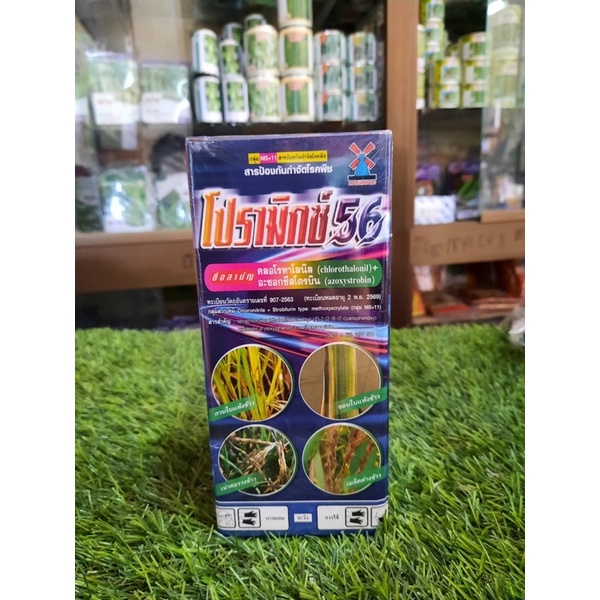 โปรามิกซ์ 56 (500 ซีซี) 1 ขวด คลอโรทาโลนิล+อะซอกซีสโตบิน สารกำจัดเชื้อรา2พลัง ฟิวซาเรียม กุ้งแห้งพริก ใบจุด ใบเน่า - รูปที่ 2