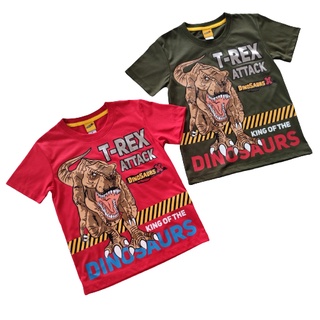 เสื้อเด็ก เสื้อยืดเด็กลายไดโนเสาร์พิมพ์ฟอยล์สีเงิน จากแบรนด์ DinosaursX สำหรับเด็กชาย6-12ปี สินค้าพร้อมส่ง 650114(S-XL)