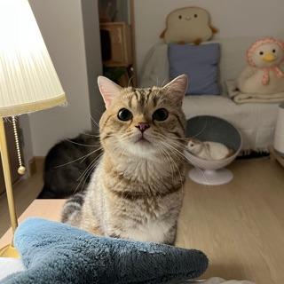 Profile NoName