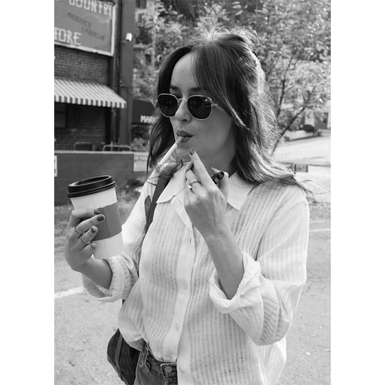 โปสเตอร์ติดผนัง JOHNSON DAKOTA (รองรับ)