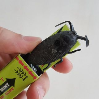 ของเล่นแกล้งเพื่อน เกมส์หมากฝรั่ง COCKROACH MINT