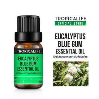 น้ำมันหอมระเหยยูคาลิปตัส บูลกัม  EUCALYPTUS BLUE GUM ESSENTIAL OIL / ORGANIC GRADE