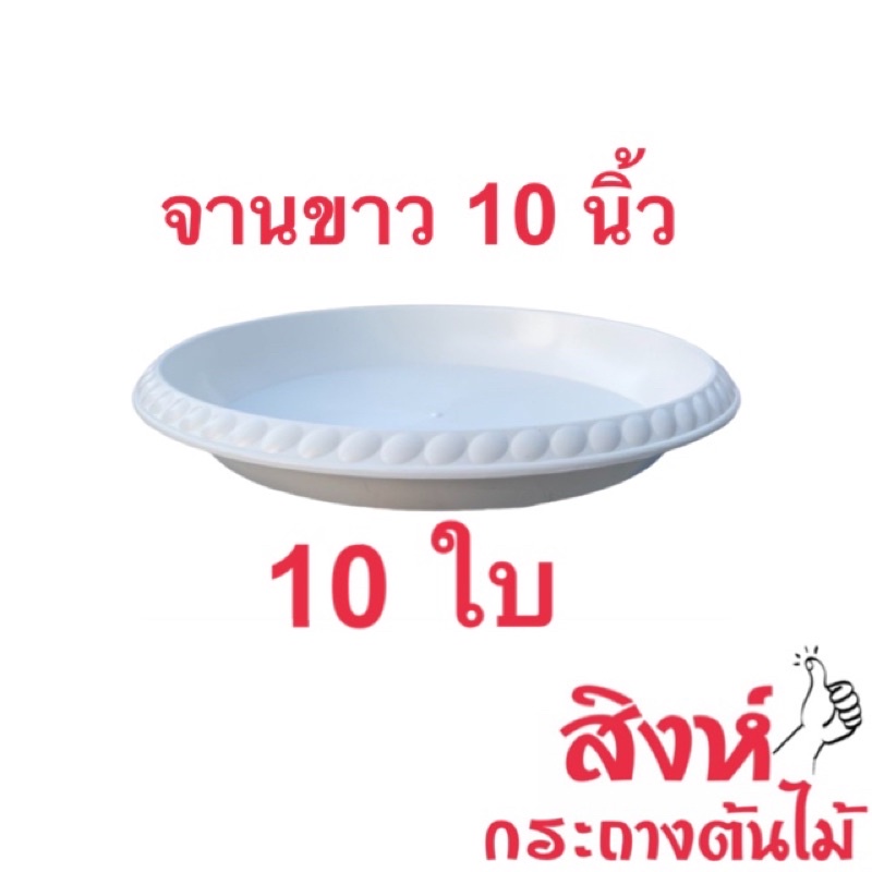 จานรองกระถางสีขาว 10 นิ้ว ชุด 10 ใบ