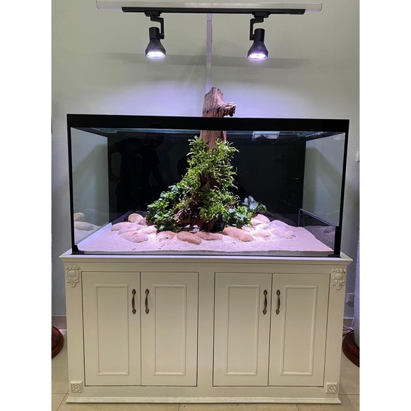 WEEK - Week Y30 Color WRG Full Spectrum LED Flood Light สําหรับถังกึ่งภูมิประเทศและพิพิธภัณฑ์สัตว์น้