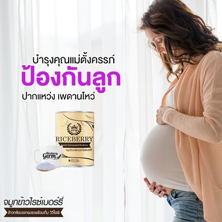 จมูกข้าวกล้องงอกไรซ์เบอร์รี่ชนิดชงดื่ม  จมูกข้าวไรซ์เบอร์รี่ เสริมสร้างภูมิคุ้มกัน ขนาด 500 กรัม จำนวน 3 กระป๋อง