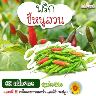 เมล็ดพันธุ์พริกขี้หนูสวน 90 เมล็ด อัตราการงอก95% ปลูกง่าย โตไว (แถมฟรี เมล็ดผักทุกออเดอร์)