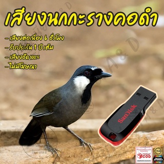 เสียงต่อ นกกะรางคอดำ ยาว6ชั่วโมง ไม่มีโฆษณา แฟลชไดร์ฟ(Flash Drive) มีเก็บเงินปลายทาง