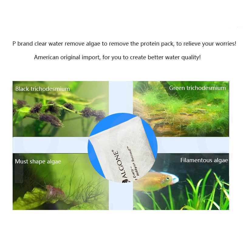 Photo inspiration: Gallery Detail: Pure Aquatic Algae Gone สารลดตะไคร ป องก นการเก ดตะไคร ช