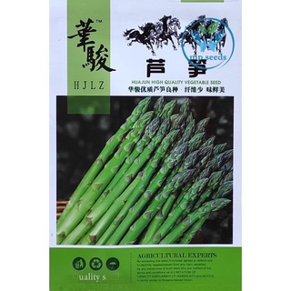 เมล็ด หน่อไม้ฝรั่ง OP ( Asparagus Seed ) ประมาณ 80 เมล็ด