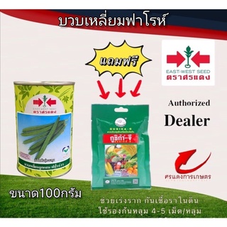 เมล็ดพันธุ์ บวบเหลี่ยมฟาโรห์ 50g แถมกูซิก้าจีซองเล็ก