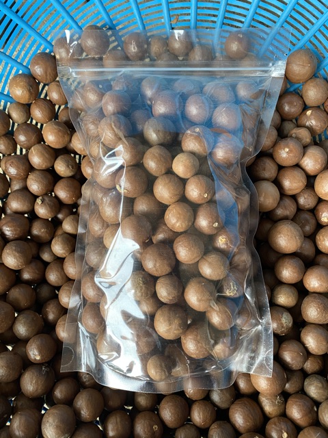 เมล็ดพันธุ์ แมคคาเดเมีย 1 kg. มีประมาณ 100+เมล็ด