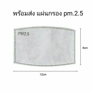 แผ่นกรองหน้ากากอนามัย pm 2.5  (พร้อมส่ง) 5 ชั้น