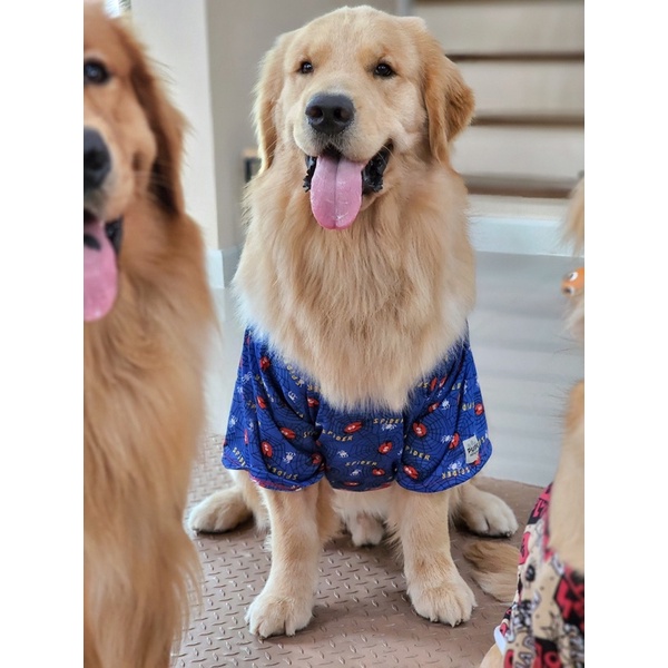 Pupspotamus เสื้อแขนสั้นสุนัขพันธุ์ใหญ่