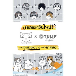 💥พร้อมส่ง💥 ผ้าปูที่นอน แมว ทูลหัวของบ่าว (ไม่รวมผ้านวม) ลิขสิทธิ์แท้💯 by Tulip