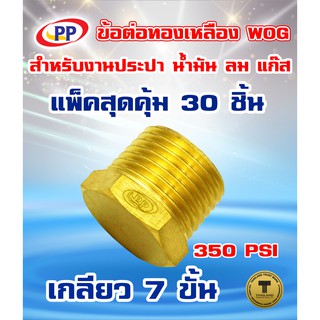 ข้อต่อทองเหลือง ปลั๊กอุด ตัวผู้&lt;เกลียวนอก&gt; PP(พีพี) ขนาด 3/8"(3หุน)  WOG(ประปา/น้ำมัน/ลม/แก๊ส)   แพ็ค 30 ชิ้น